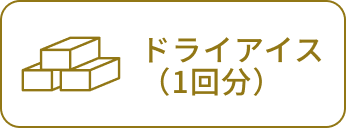 ドライアイス（1回分）